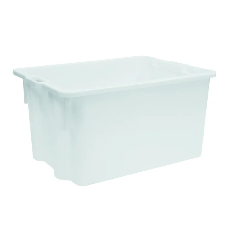 cookrock5410238