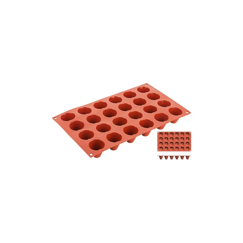 cookrock5539091