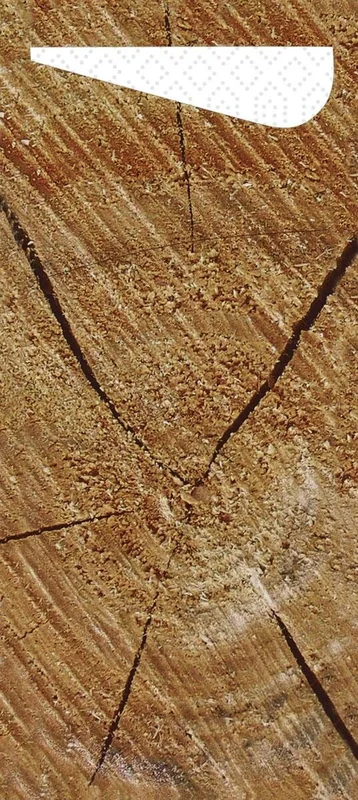 liefergastro5351494