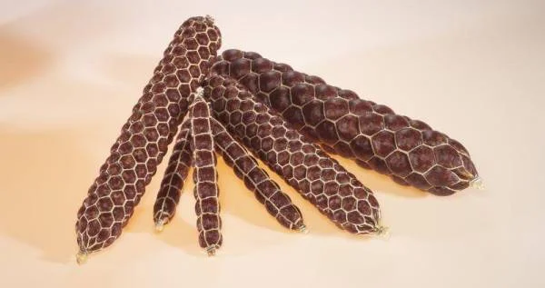 niederbergershop5272784